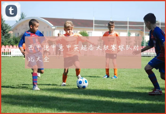 西甲德甲意甲英超各大联赛球队对比大全
